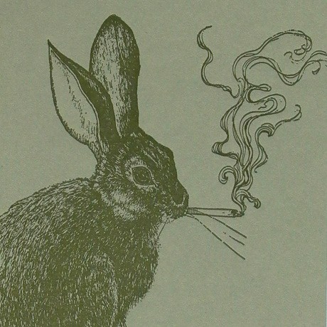 Le lapin fume